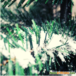 Cómo Crear el Efecto Nieve Perfecto en tu Árbol de Navidad: Consejos y Técnicas