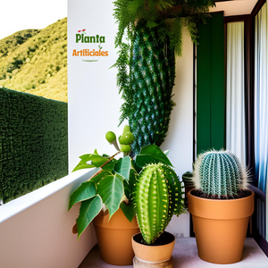Los Cactus Artificiales: La Decoración Perfecta para Interiores